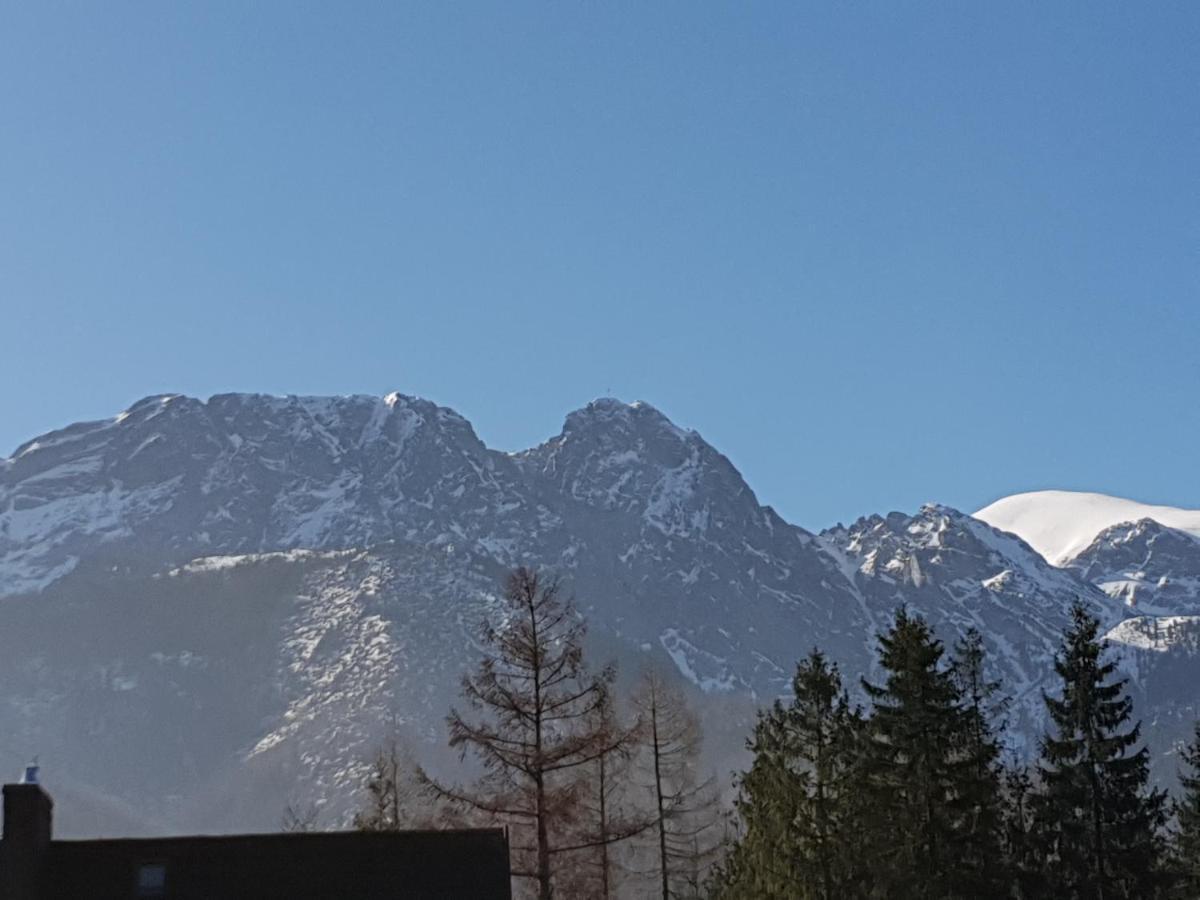 Willa Za Strugiem Zakopane Exterior photo